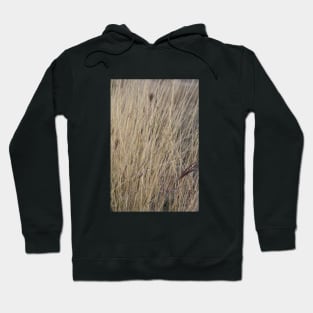 prairie photo Hoodie